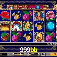 999bb Rio de Janeiro - Professional Dealers